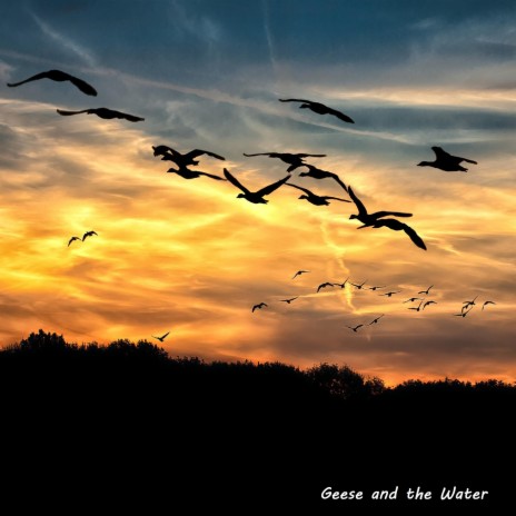 Geese and the Water | Boomplay Music