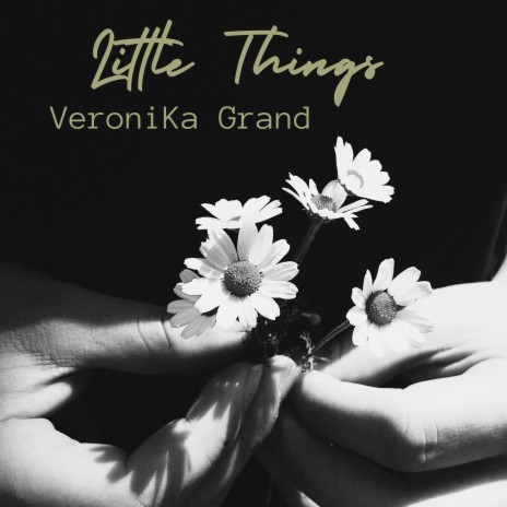 Little Things ft. Anders Johansson & Vittorio Longobardi | Boomplay Music