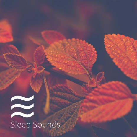 Restful Soft Sound of Noise for Relax