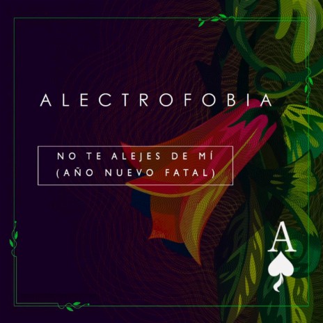 No te alejes de mí (Radio edit) ft. Mario Breuer | Boomplay Music