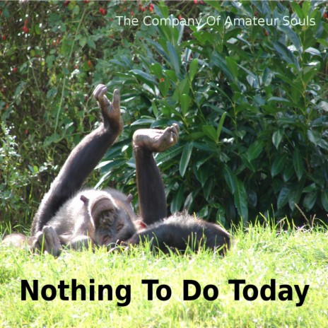 Nothing To Do Today | Boomplay Music