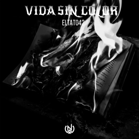 VIDA SIN COLOR | Boomplay Music