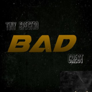 BAD ft. CREST lyrics | Boomplay Music