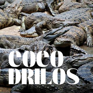 Cocodrilos