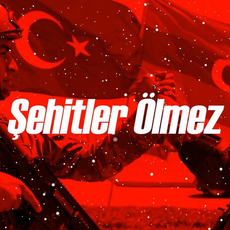 Şehitler Ölmez | Boomplay Music