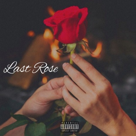 Last Rose | Boomplay Music