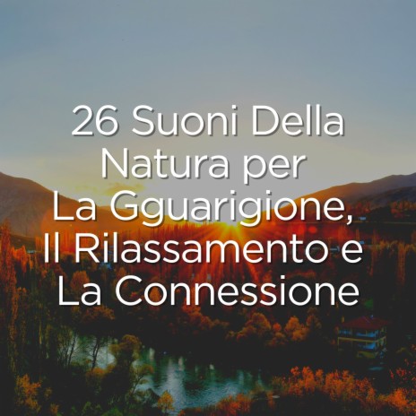 Suoni melodici della pioggia per la pace e la calma, pt. 22