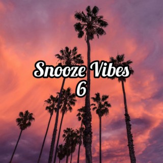 Snooze Vibes 6