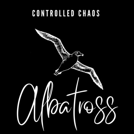 Albatross | Boomplay Music