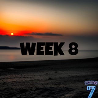 Week 8