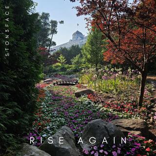 Rise Again