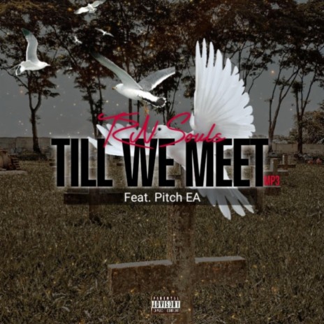 Till We Meet ft. Pitch EA | Boomplay Music