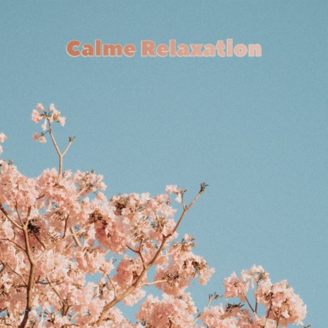 Moon ft. Relaxation Sommeil et Détente & Musique Calme et Relaxation