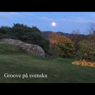 Groove på svenska