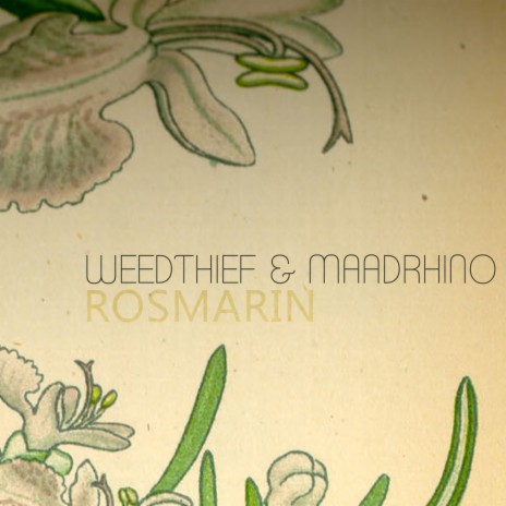 Rosmarin ft. Maadrhino | Boomplay Music
