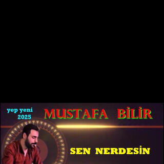 SEN NEREDESİN