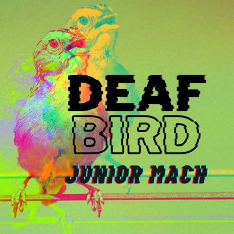 Deaf Bird | Boomplay Music