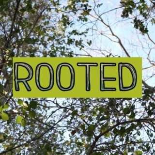 Rooted lyrics | Boomplay Music
