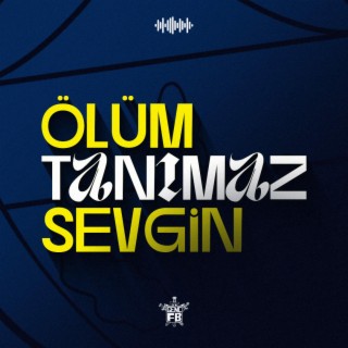 Ölüm Tanımaz Sevgin lyrics | Boomplay Music