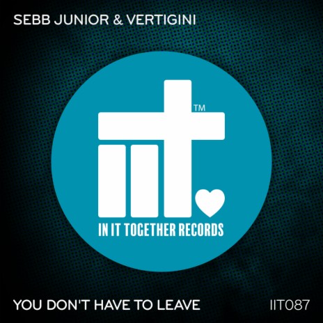 You Don't Have To Leave (Extended Mix) ft. Vertigini | Boomplay Music