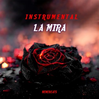 LA MIRA