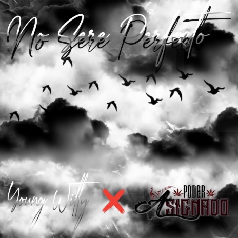 No Sere Perfecto (feat. Poder Asignado) | Boomplay Music