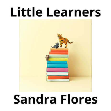 Little Learners | Boomplay Music