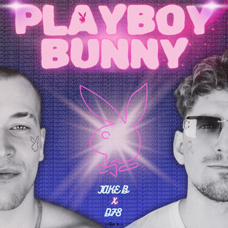 Playboy Bunny