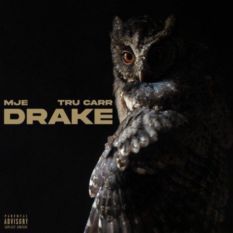 Drake ft. TruCarr | Boomplay Music