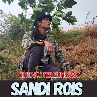 Cintaku Tereliminasi lyrics | Boomplay Music