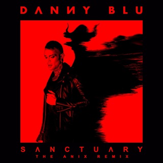 Sanctuary (The Anix Remix)