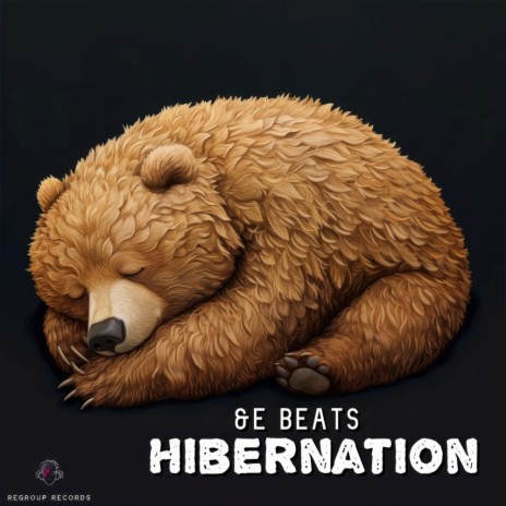 Hibernation | Boomplay Music