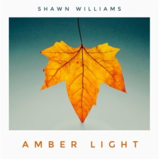 Amber Light