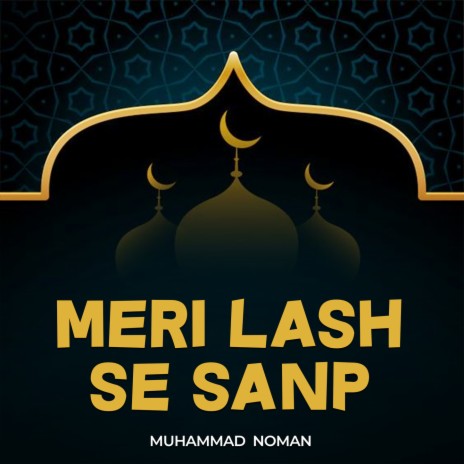 Meri Lash Se Sanp | Boomplay Music