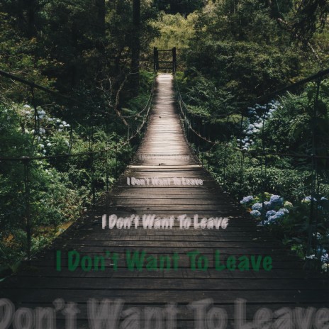 I Don't Want To Leave | Boomplay Music