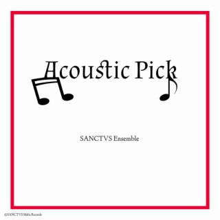 Acoustic Pick