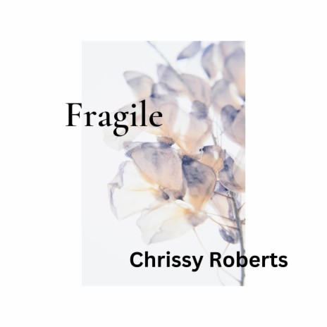 Fragile | Boomplay Music