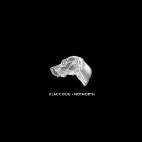 Black Dog | Boomplay Music