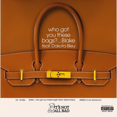 WHO GOT YOU THESE BAGS? ft. Dakota Bleu | Boomplay Music