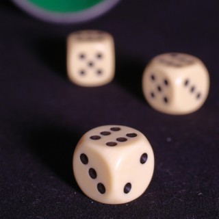 Roll the Dice