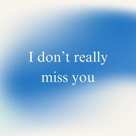 I DON'T REALLY MISS YOU