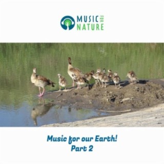 Music for Our Earth, Pt. 2
