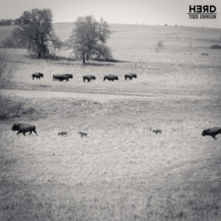 Herd