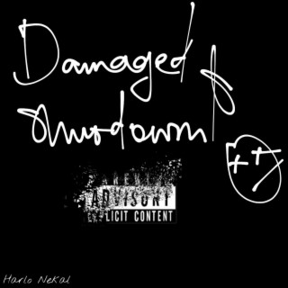 Damaged & Shutdown lyrics | Boomplay Music