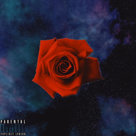 A Rose in Space