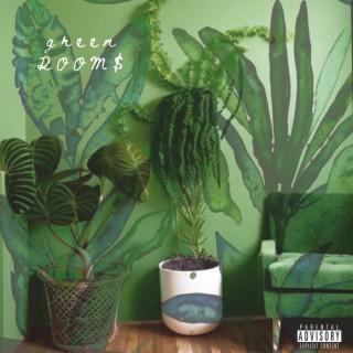 Green Room$ ft. Saann & Earth Rebel lyrics | Boomplay Music