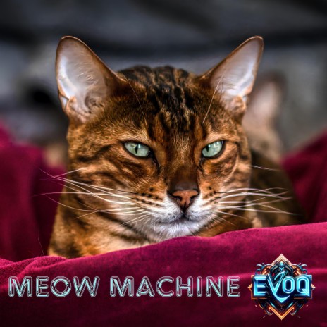 Meow Machine