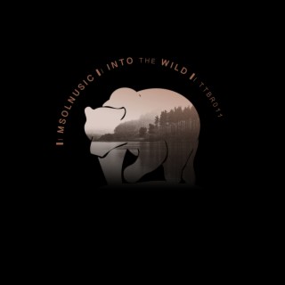 Into The Wild EP