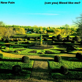 New Pain