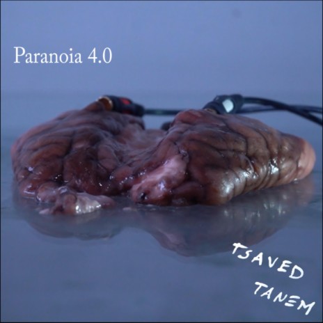 Paranoia 4.0 | Boomplay Music